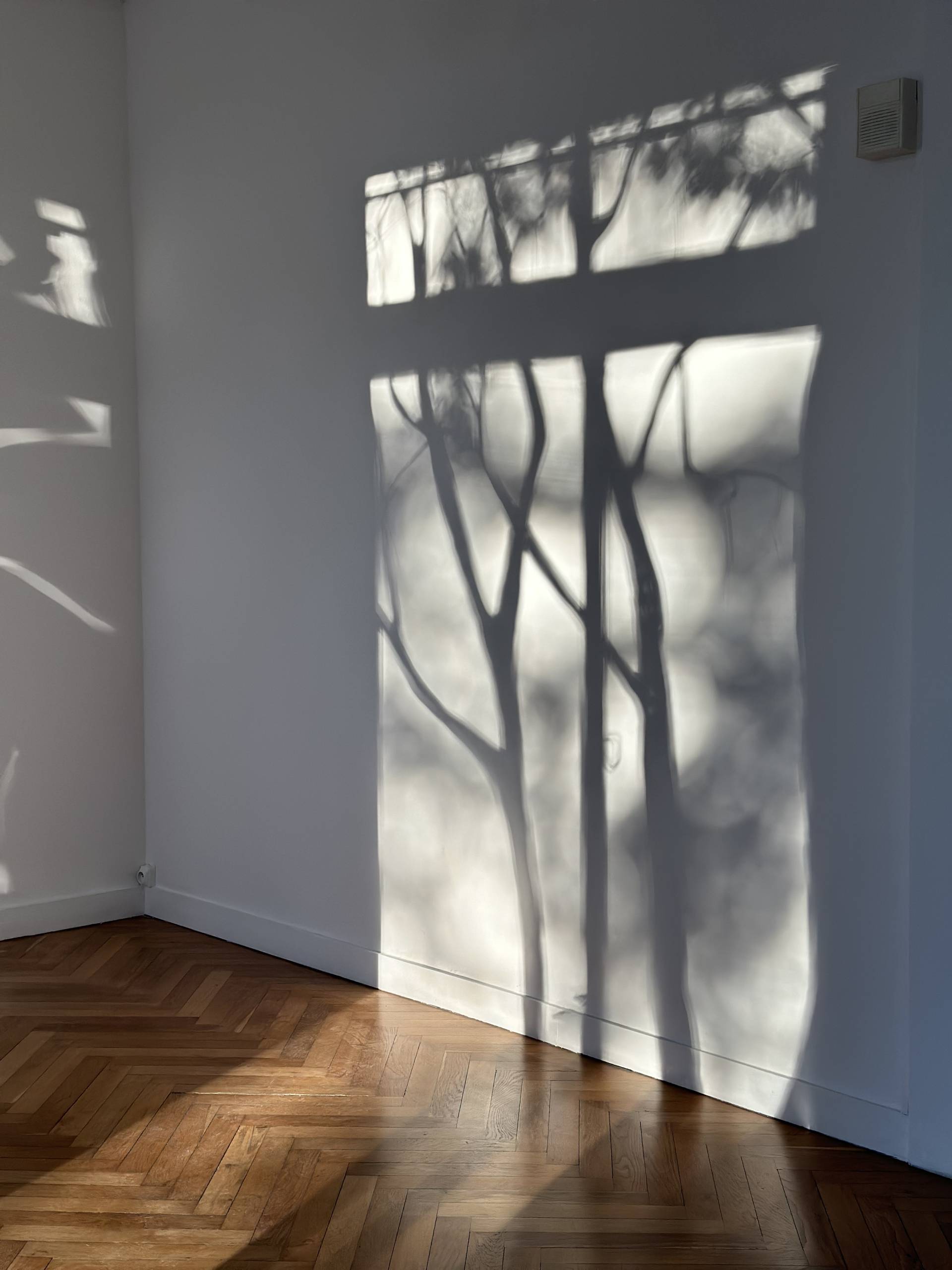 Les arbres de là-bas