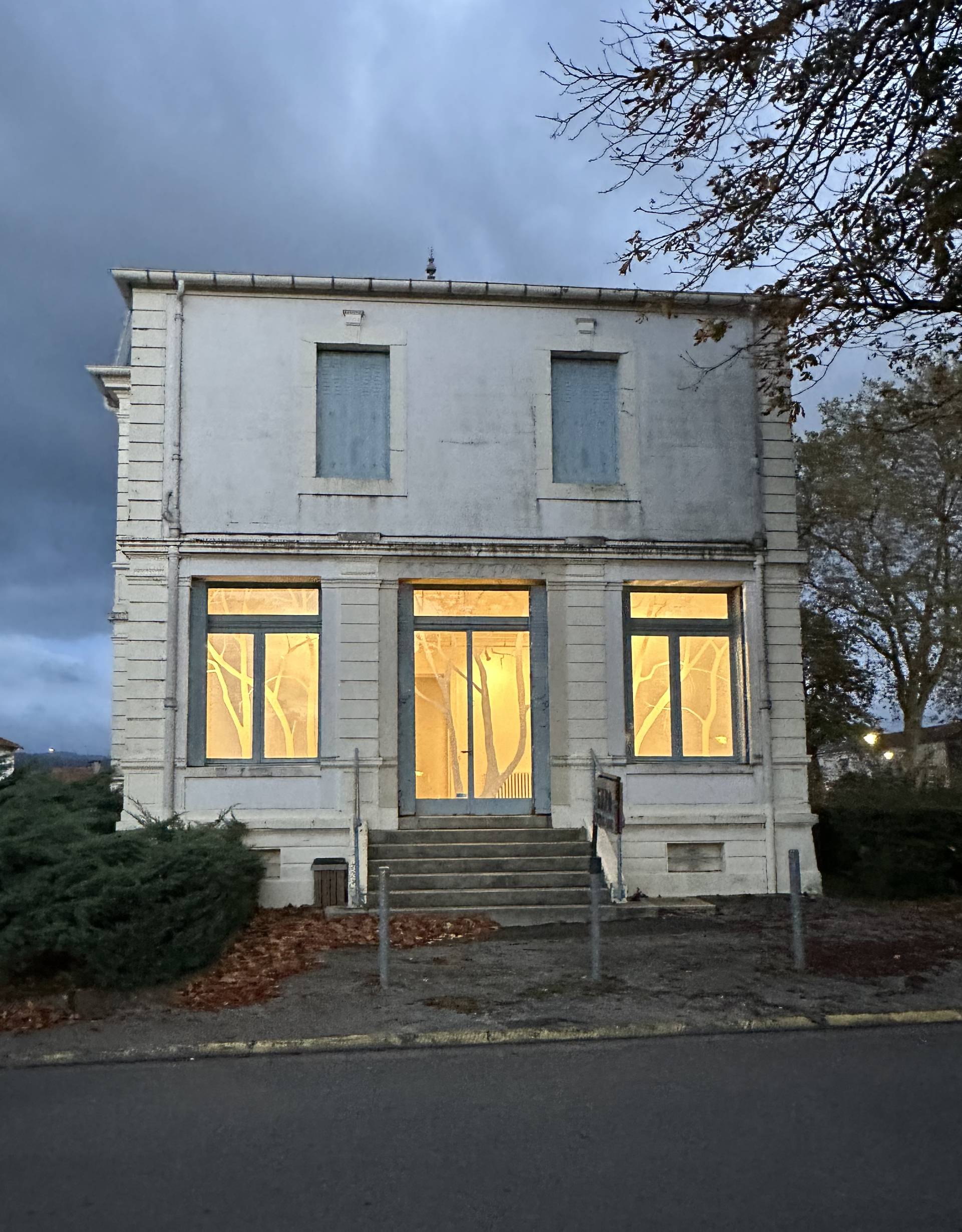 Les arbres de là-bas