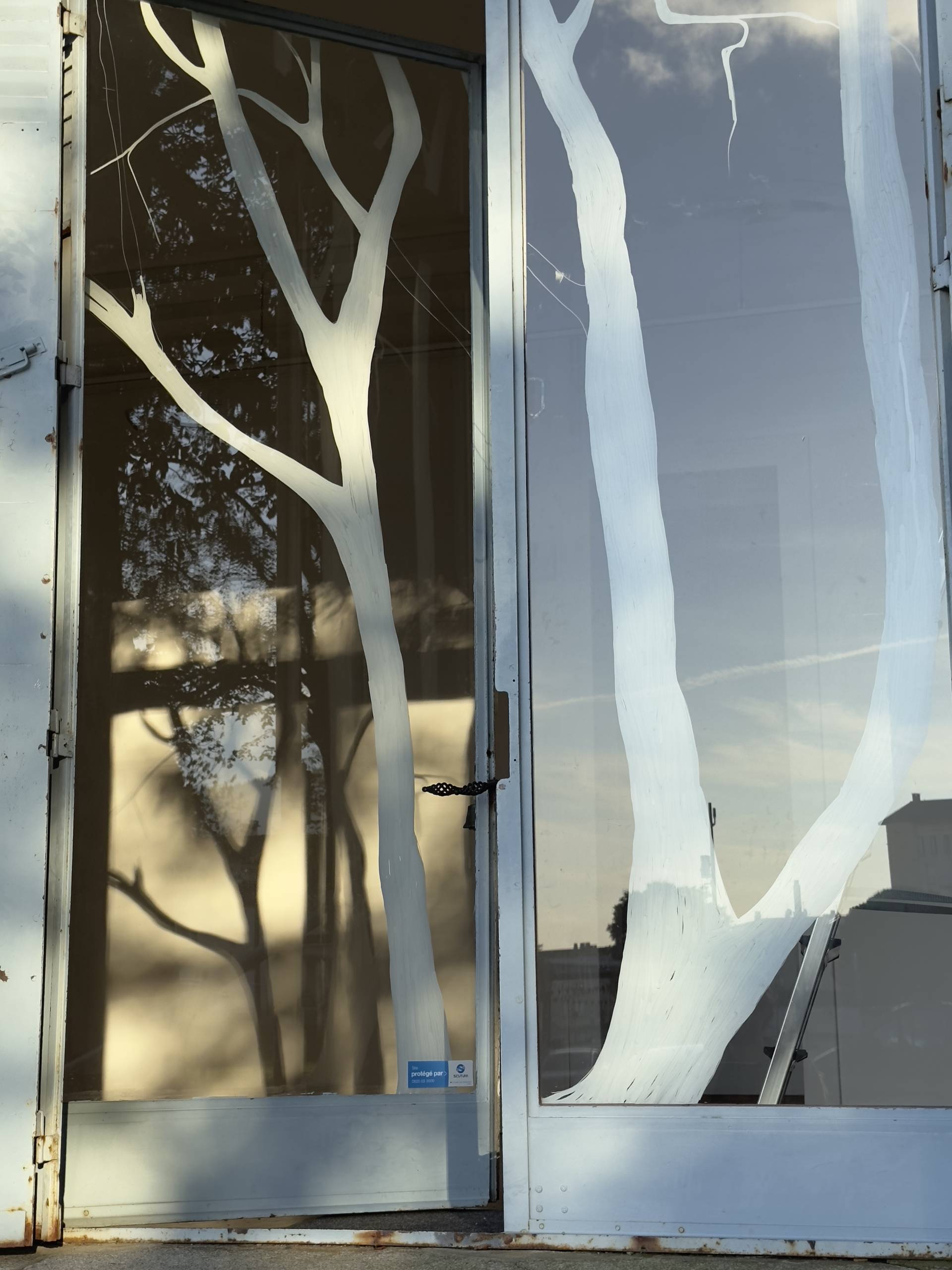 Les arbres de là-bas