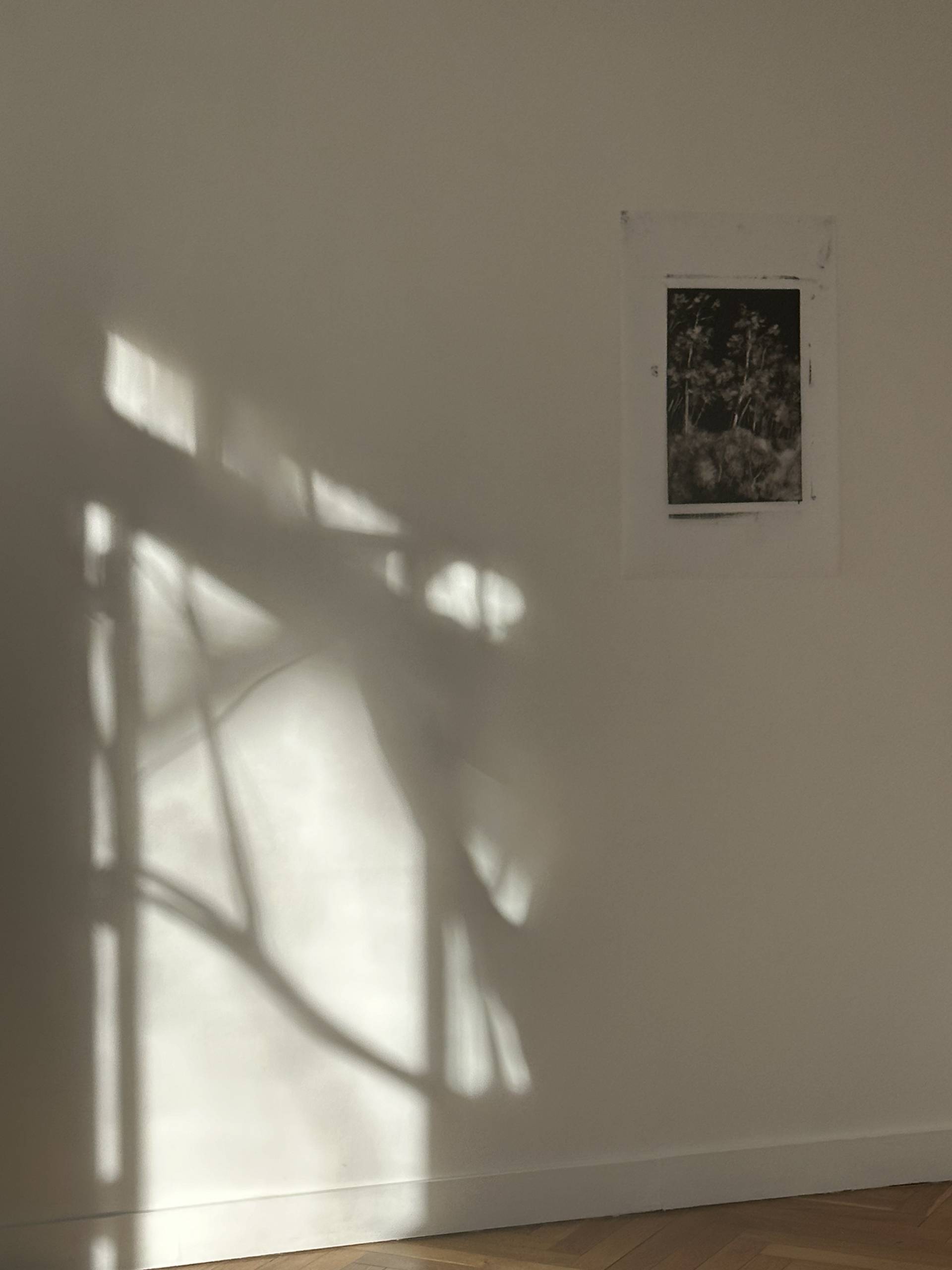 Les arbres de là-bas